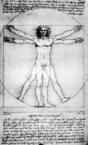 vitruvian